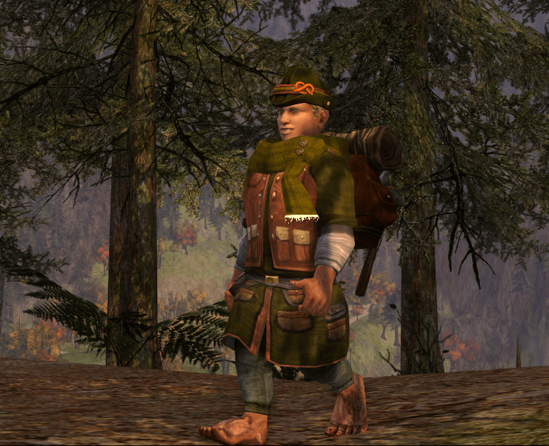 Dude... you're walking the wrong way. Rivendell is down there... /sigh