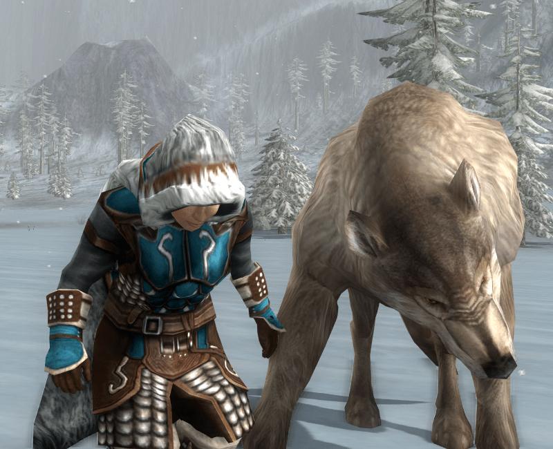 looking for something